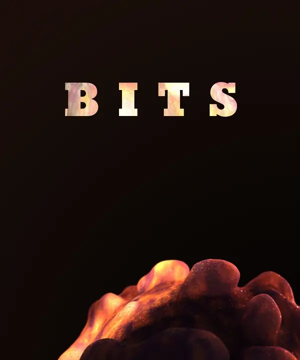 Bits